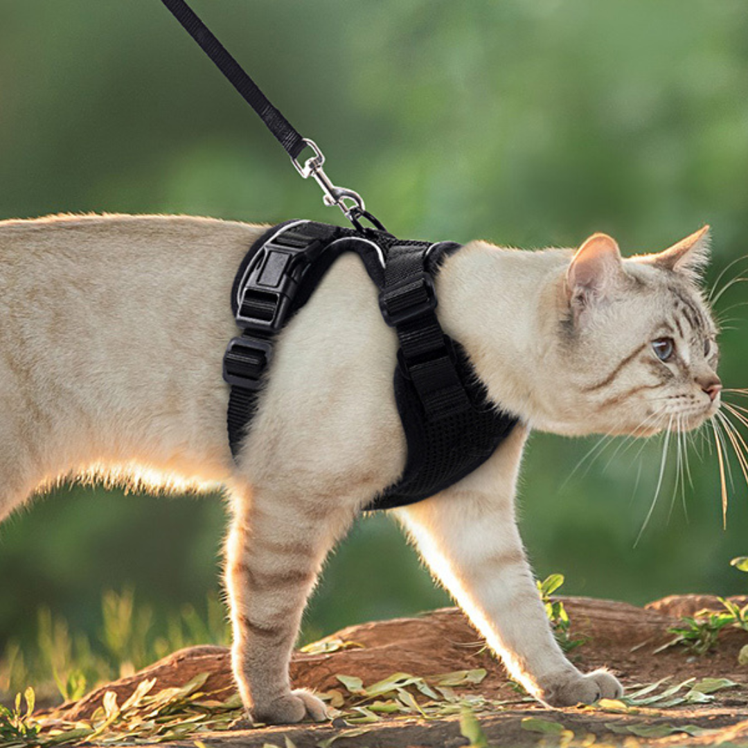 NEW Team Cats™ No-Choke Adjustable Mesh Cat Harness With Quick-Release Buckles, Adjustable Straps, & Reflective Safety Strips (+FREE Leash)