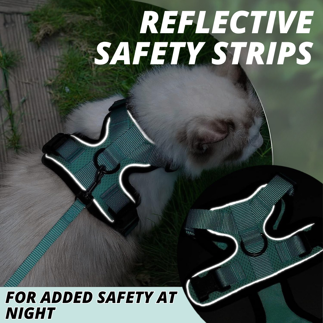 NEW Team Cats™ No-Choke Adjustable Mesh Cat Harness With Quick-Release Buckles, Adjustable Straps, & Reflective Safety Strips (+FREE Leash)