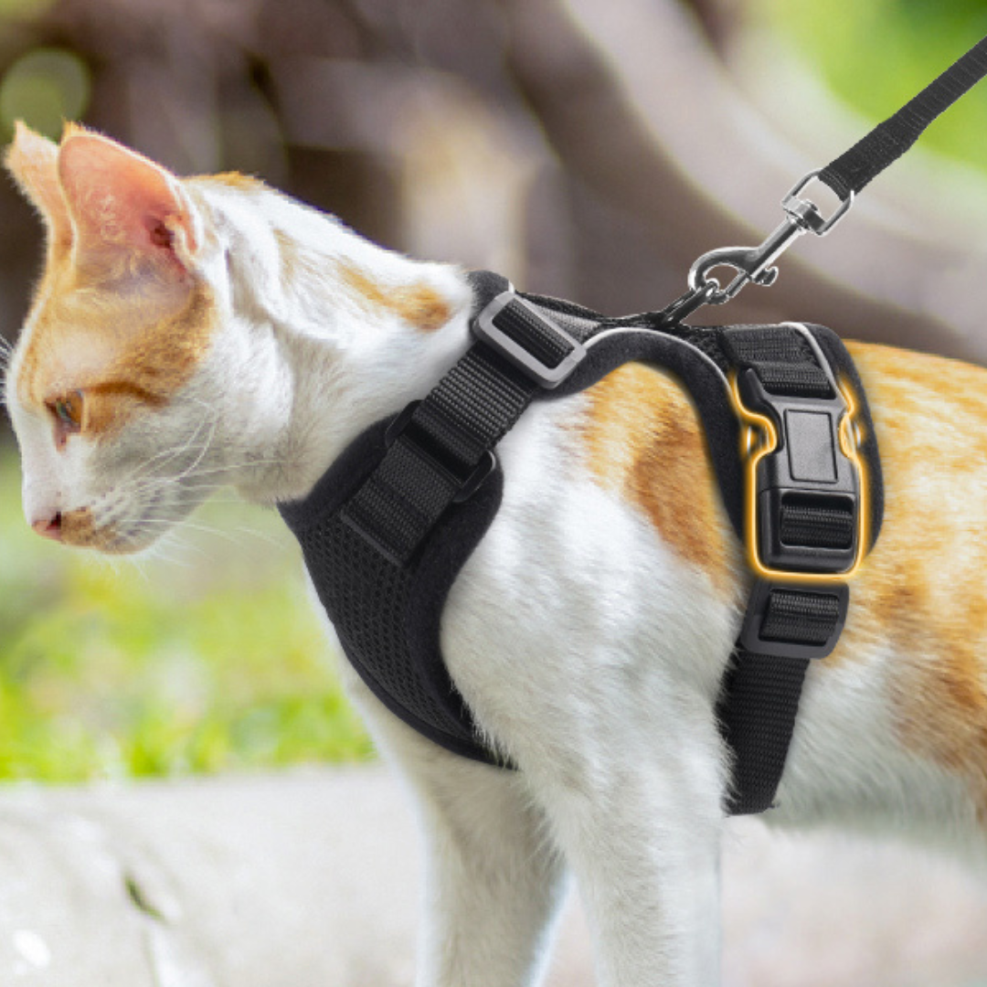NEW Team Cats™ No-Choke Adjustable Mesh Cat Harness With Quick-Release Buckles, Adjustable Straps, & Reflective Safety Strips (+FREE Leash)