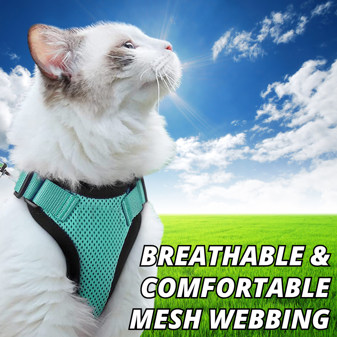 NEW Team Cats™ No-Choke Adjustable Mesh Cat Harness With Quick-Release Buckles, Adjustable Straps, & Reflective Safety Strips (+FREE Leash)