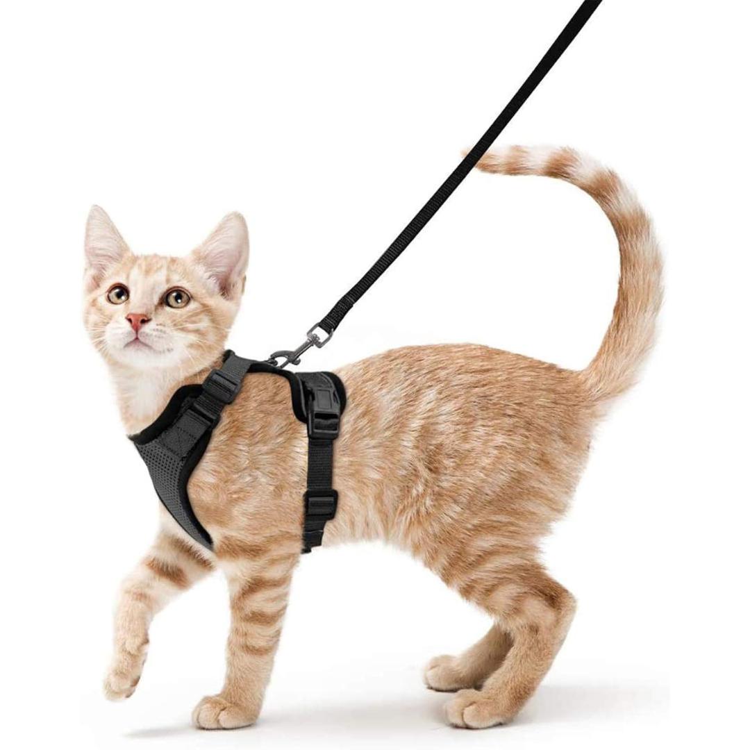 NEW Team Cats™ No-Choke Adjustable Mesh Cat Harness With Quick-Release Buckles, Adjustable Straps, & Reflective Safety Strips (+FREE Leash)