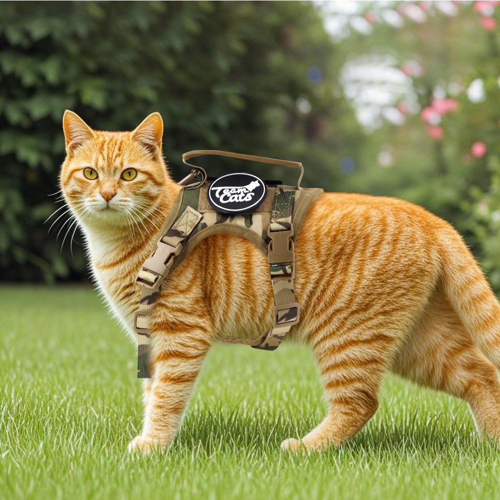 NEW Team Cats™ Adjustable Cat Harness With 4 Quick-Release Buckles, Easy-Grab Top Handle, Hook & Loop Panels, & Adjustable Straps