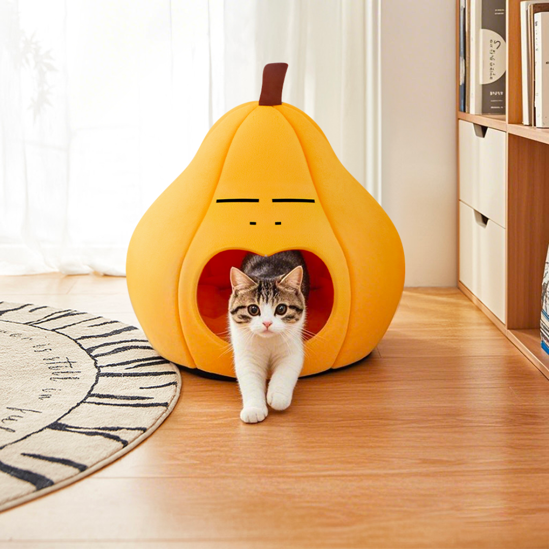 Orange, Pear, & Avocado Fruit Themed Cat Dens