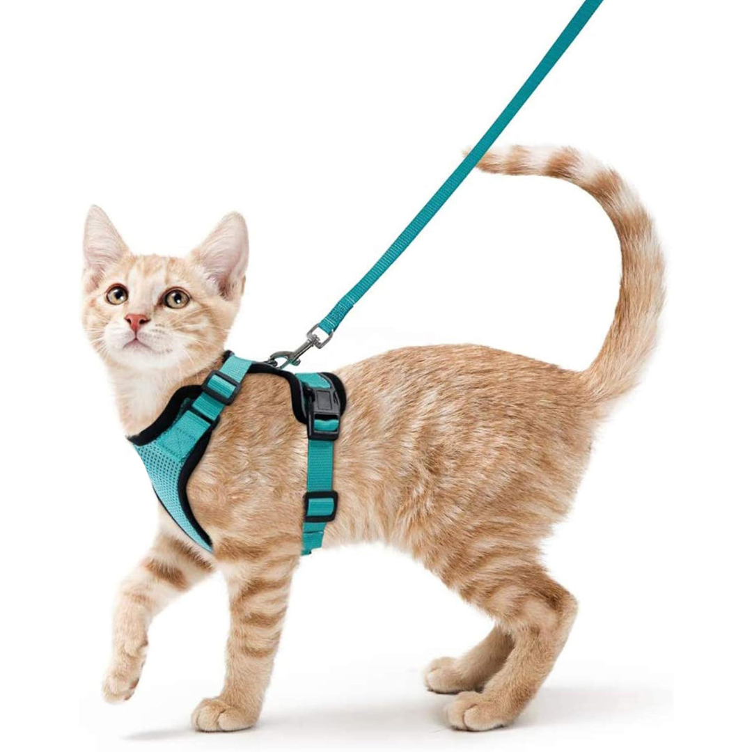 NEW Team Cats™ No-Choke Adjustable Mesh Cat Harness With Quick-Release Buckles, Adjustable Straps, & Reflective Safety Strips (+FREE Leash)