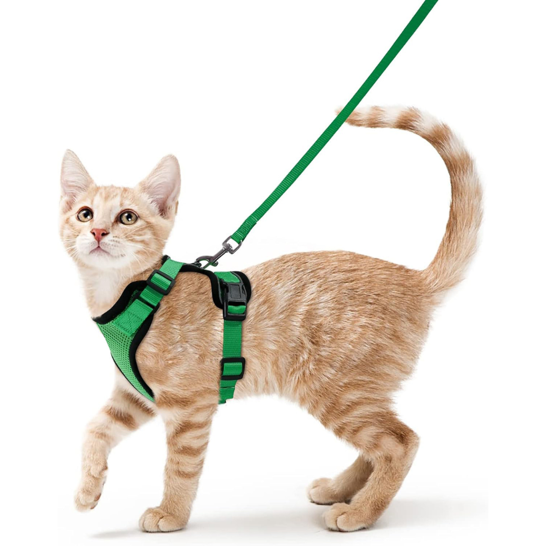 NEW Team Cats™ No-Choke Adjustable Mesh Cat Harness With Quick-Release Buckles, Adjustable Straps, & Reflective Safety Strips (+FREE Leash)