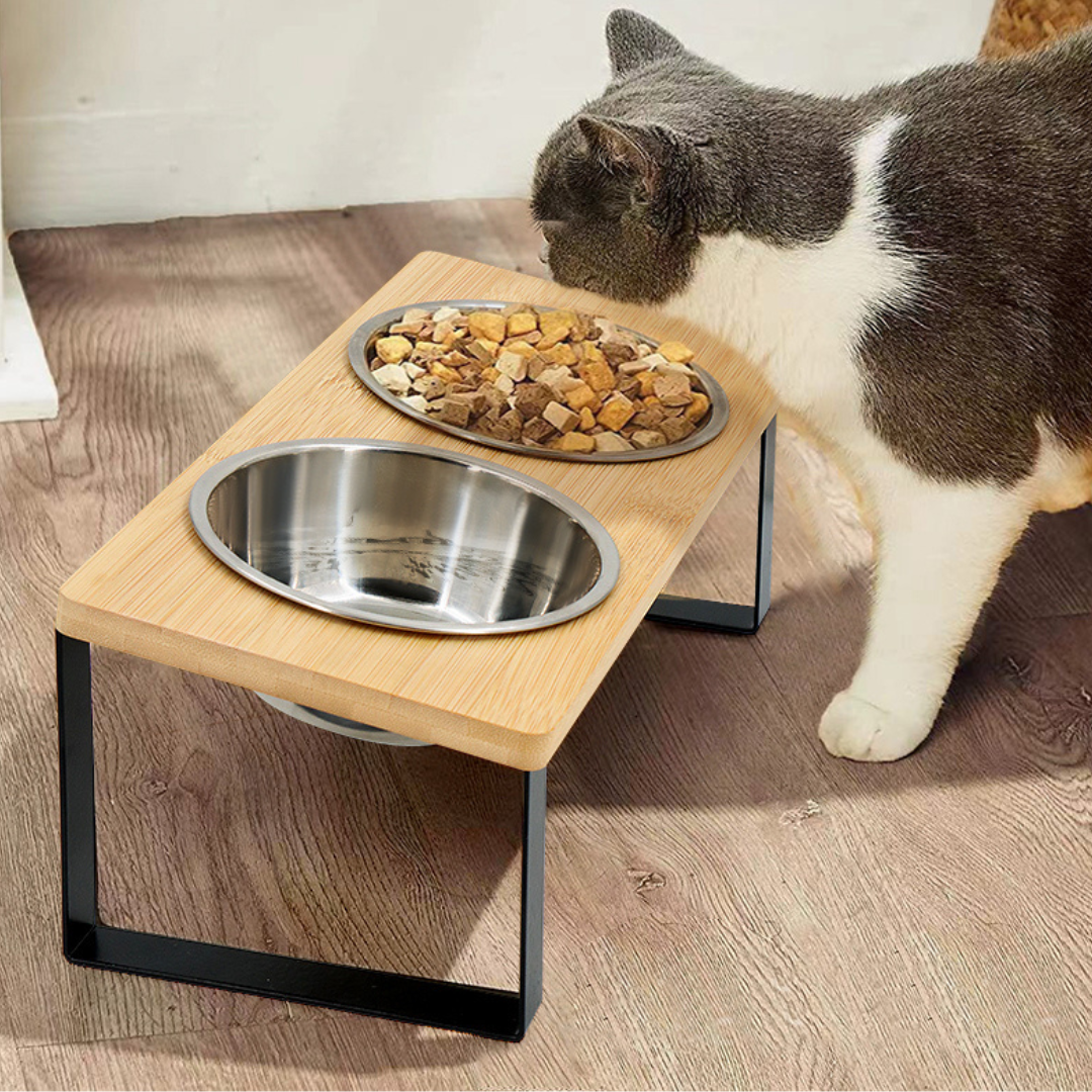 Elevated Food-Grade Stainless Steel Cat Bowls (Vet-Recommended!)
