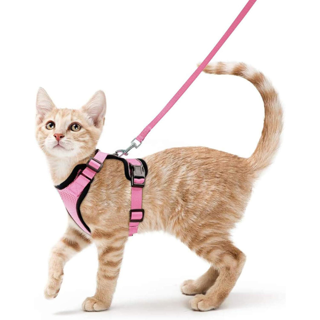 NEW Team Cats™ No-Choke Adjustable Mesh Cat Harness With Quick-Release Buckles, Adjustable Straps, & Reflective Safety Strips (+FREE Leash)