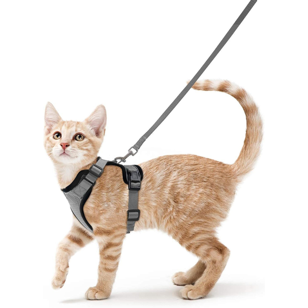 NEW Team Cats™ No-Choke Adjustable Mesh Cat Harness With Quick-Release Buckles, Adjustable Straps, & Reflective Safety Strips (+FREE Leash)