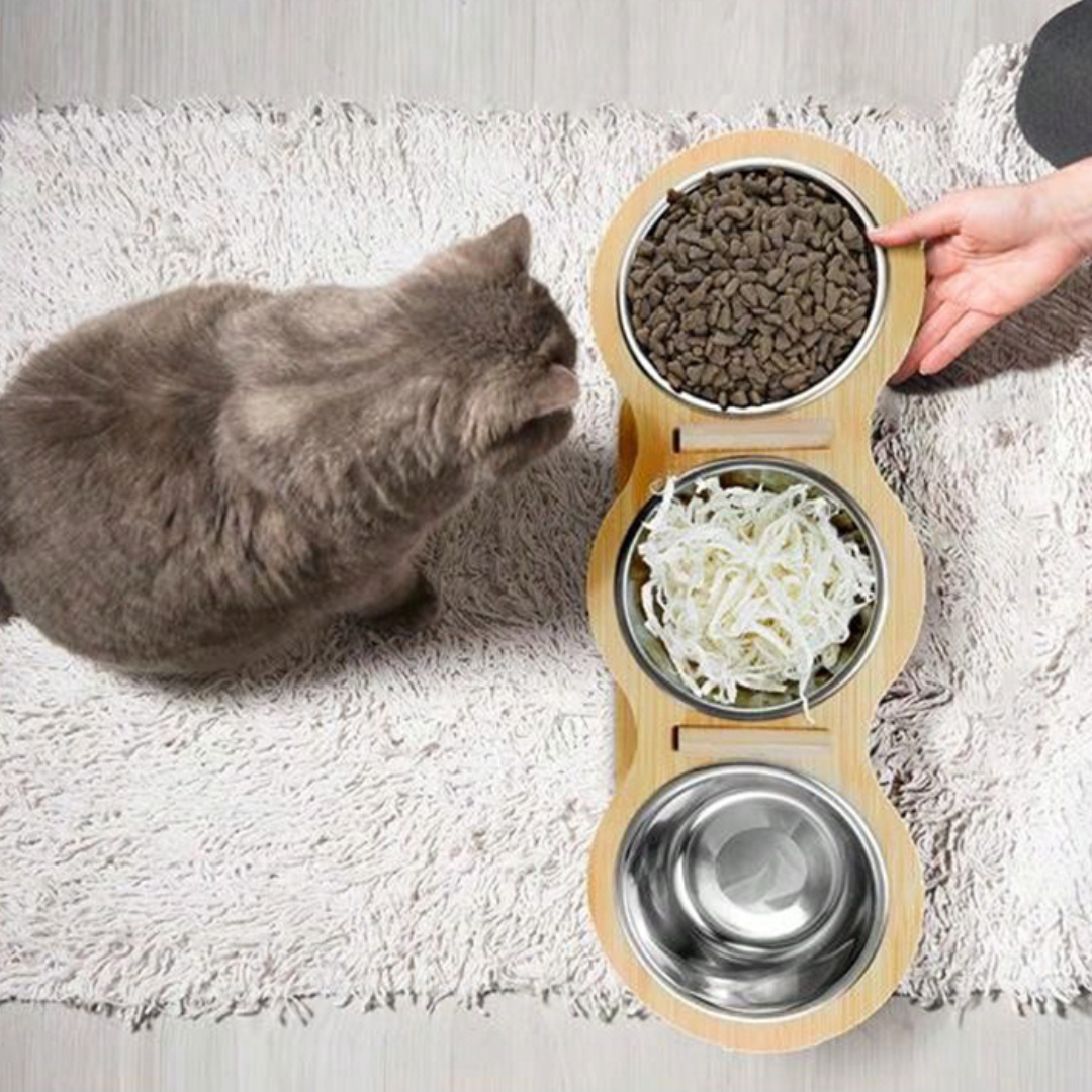 Elevated Food-Grade Stainless Steel Cat Bowls (Vet-Recommended!)