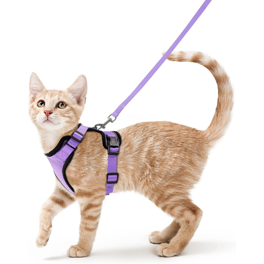 NEW Team Cats™ No-Choke Adjustable Mesh Cat Harness With Quick-Release Buckles, Adjustable Straps, & Reflective Safety Strips (+FREE Leash)