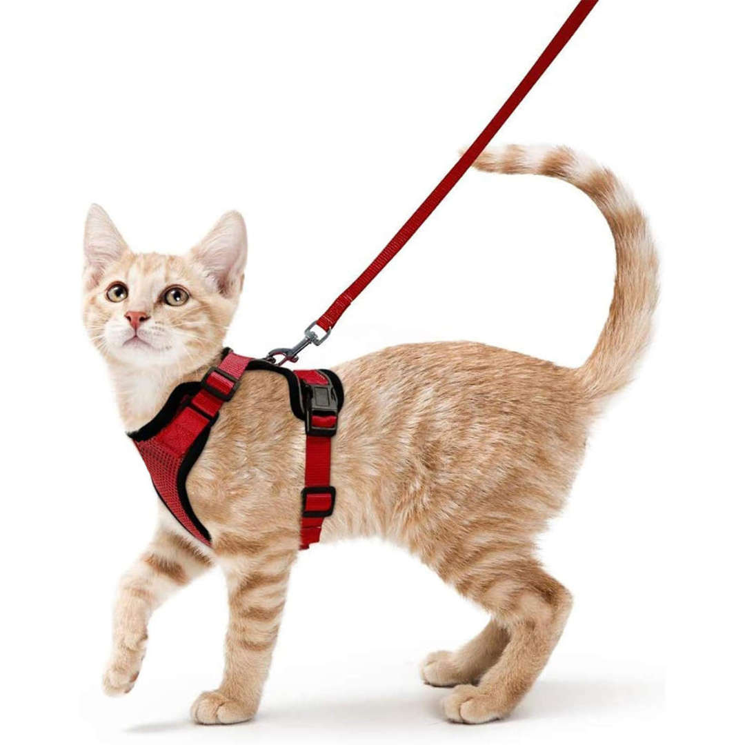 NEW Team Cats™ No-Choke Adjustable Mesh Cat Harness With Quick-Release Buckles, Adjustable Straps, & Reflective Safety Strips (+FREE Leash)