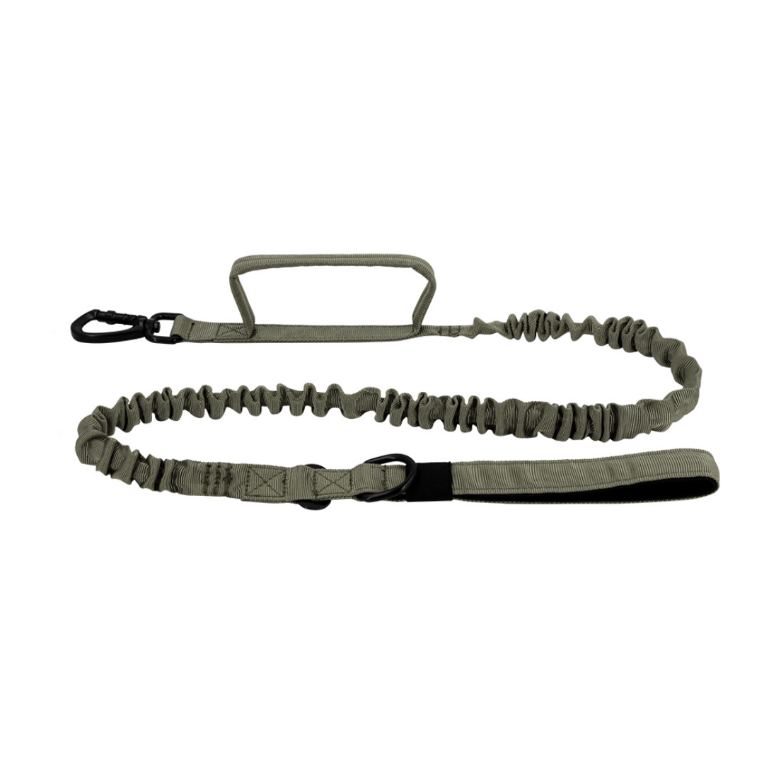 Double-Handle Bungee Leash For The Cat Harness