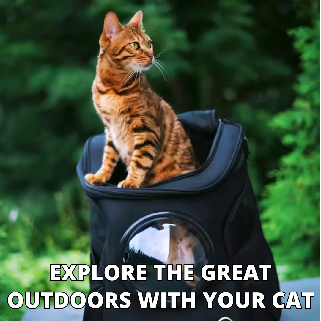 NEW Team Cats™ Cat Carrier Backpack For Small & Large Cats With Bubble Window, Breathable Mesh Vent, & Adjustable Straps