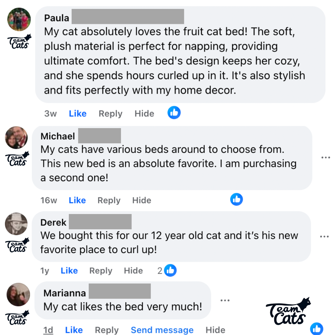 Orange, Pear, & Avocado Fruit Themed Cat Dens