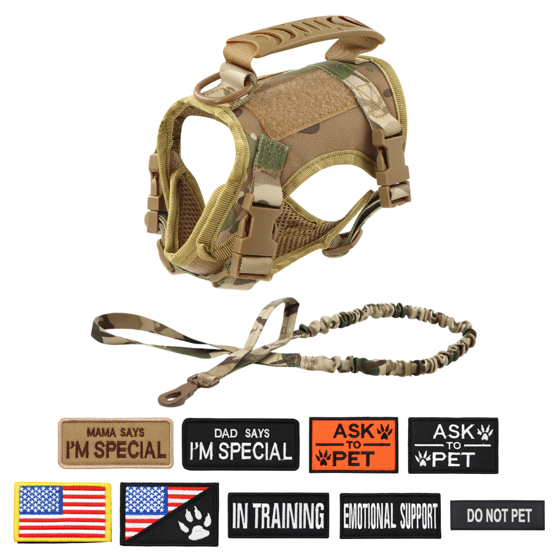 NEW Team Cats™ Adjustable Cat Harness With 4 Quick-Release Buckles, Easy-Grab Top Handle, Hook & Loop Panels, & Adjustable Straps