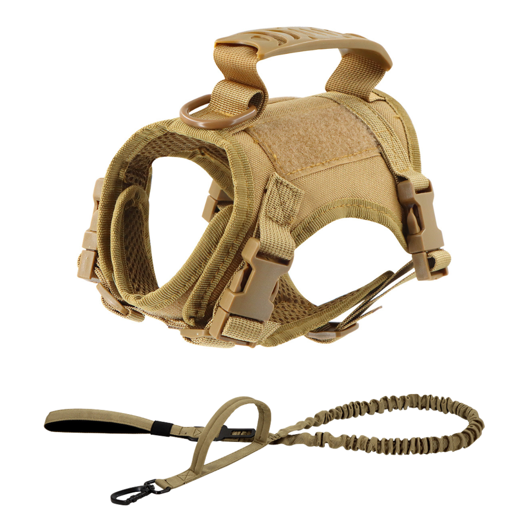 NEW Team Cats™ Adjustable Cat Harness With 4 Quick-Release Buckles, Easy-Grab Top Handle, Hook & Loop Panels, & Adjustable Straps