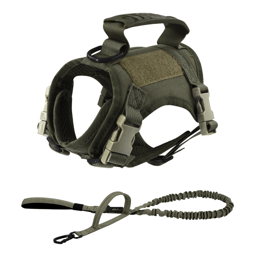 NEW Team Cats™ Adjustable Cat Harness With 4 Quick-Release Buckles, Easy-Grab Top Handle, Hook & Loop Panels, & Adjustable Straps
