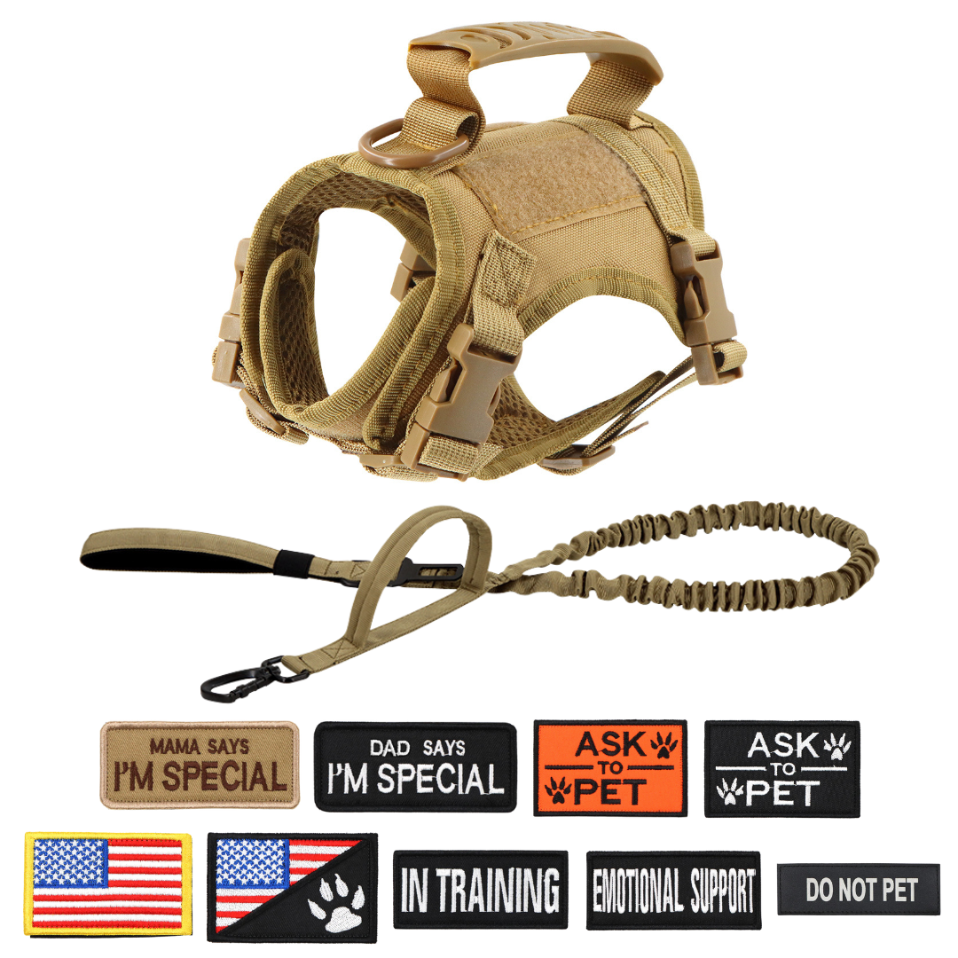 NEW Team Cats™ Adjustable Cat Harness With 4 Quick-Release Buckles, Easy-Grab Top Handle, Hook & Loop Panels, & Adjustable Straps