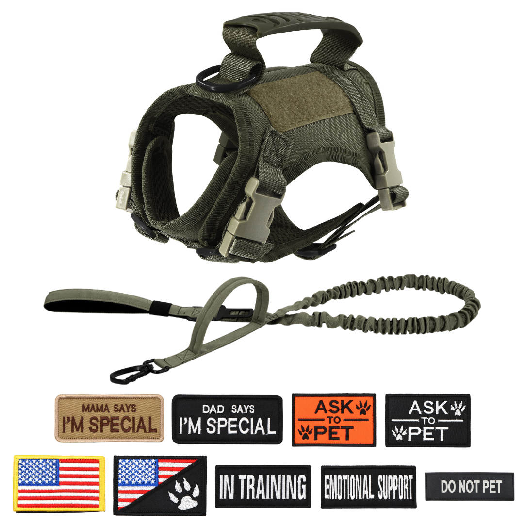 NEW Team Cats™ Adjustable Cat Harness With 4 Quick-Release Buckles, Easy-Grab Top Handle, Hook & Loop Panels, & Adjustable Straps