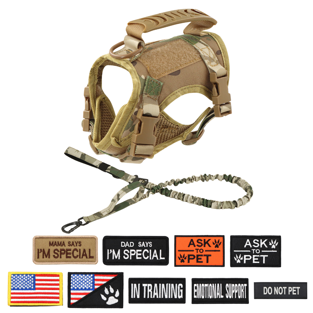 NEW Team Cats™ Adjustable Cat Harness With 4 Quick-Release Buckles, Easy-Grab Top Handle, Hook & Loop Panels, & Adjustable Straps