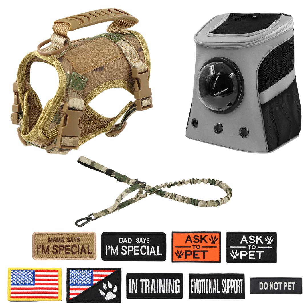 NEW Team Cats™ Adjustable Cat Harness With 4 Quick-Release Buckles, Easy-Grab Top Handle, Hook & Loop Panels, & Adjustable Straps