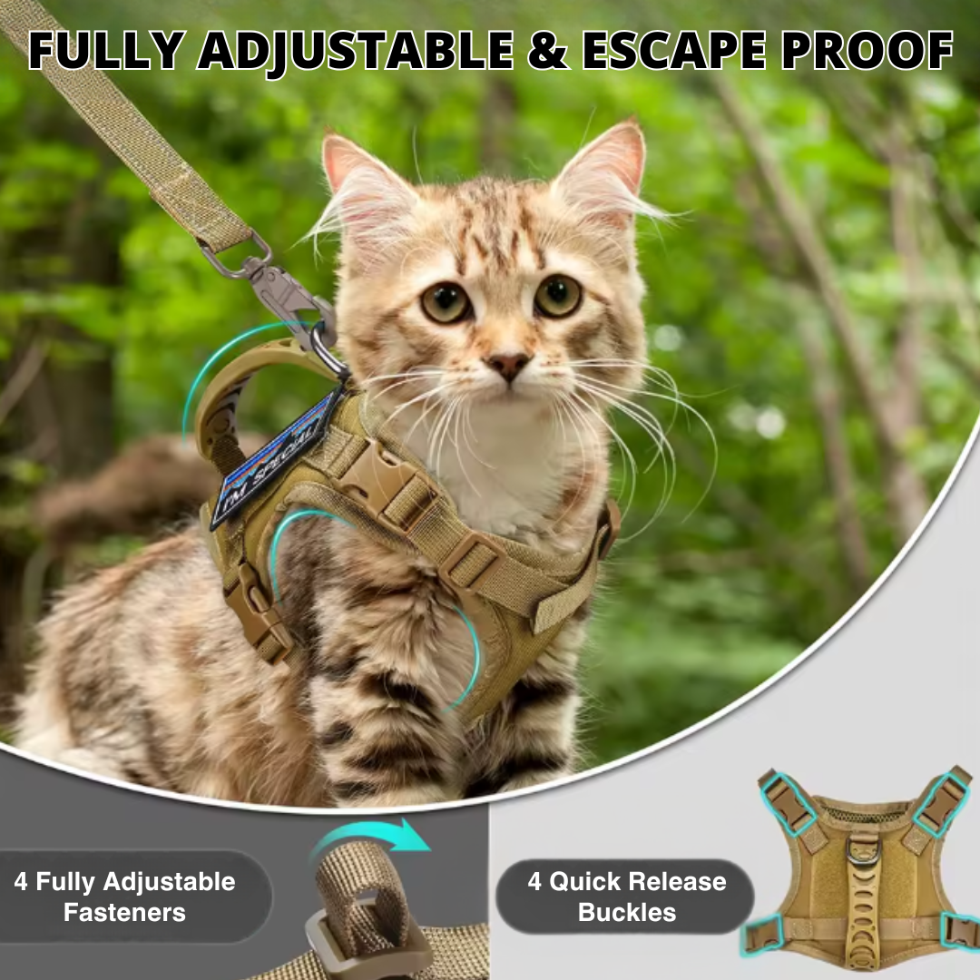 NEW Team Cats™ Adjustable Cat Harness With 4 Quick-Release Buckles, Easy-Grab Top Handle, Hook & Loop Panels, & Adjustable Straps