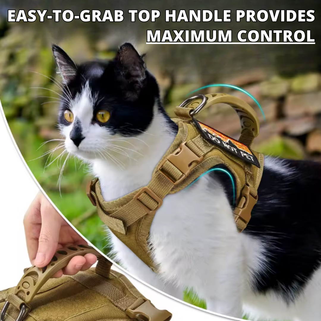 NEW Team Cats™ Adjustable Cat Harness With 4 Quick-Release Buckles, Easy-Grab Top Handle, Hook & Loop Panels, & Adjustable Straps