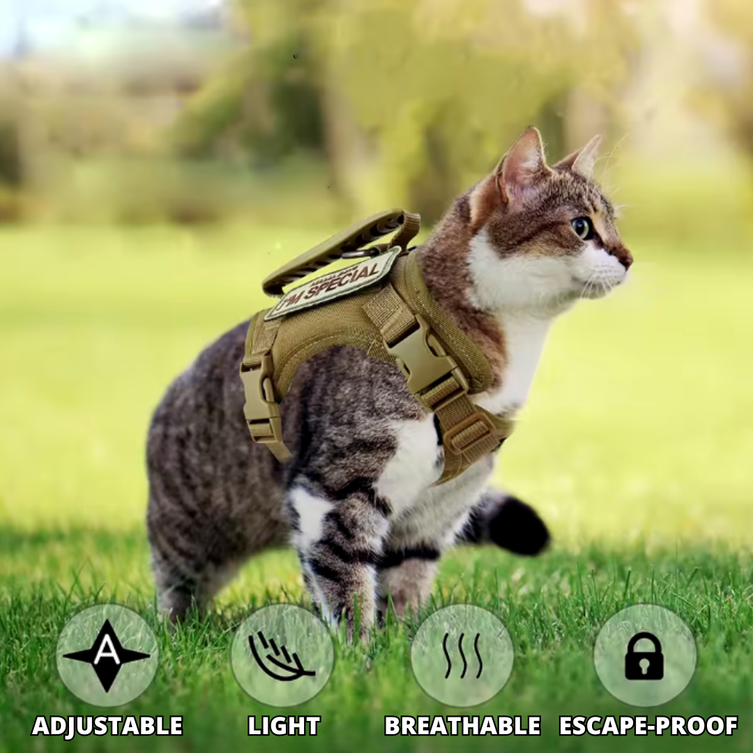 NEW Team Cats™ Adjustable Cat Harness With 4 Quick-Release Buckles, Easy-Grab Top Handle, Hook & Loop Panels, & Adjustable Straps