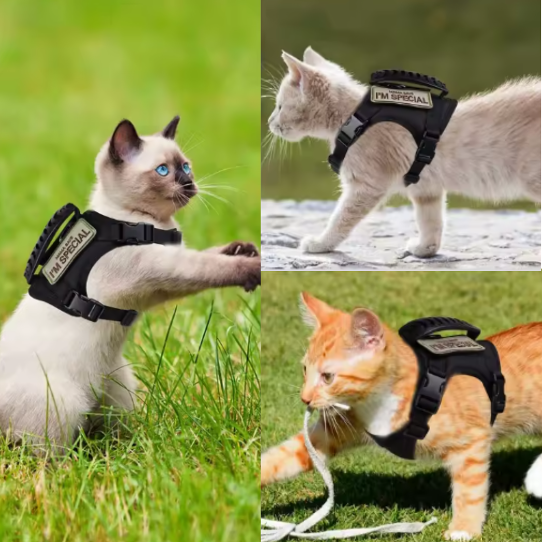 NEW Team Cats™ Adjustable Cat Harness With 4 Quick-Release Buckles, Easy-Grab Top Handle, Hook & Loop Panels, & Adjustable Straps