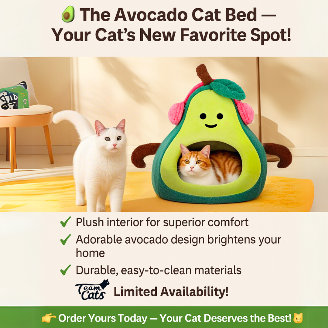 Orange, Pear, & Avocado Fruit Themed Cat Dens