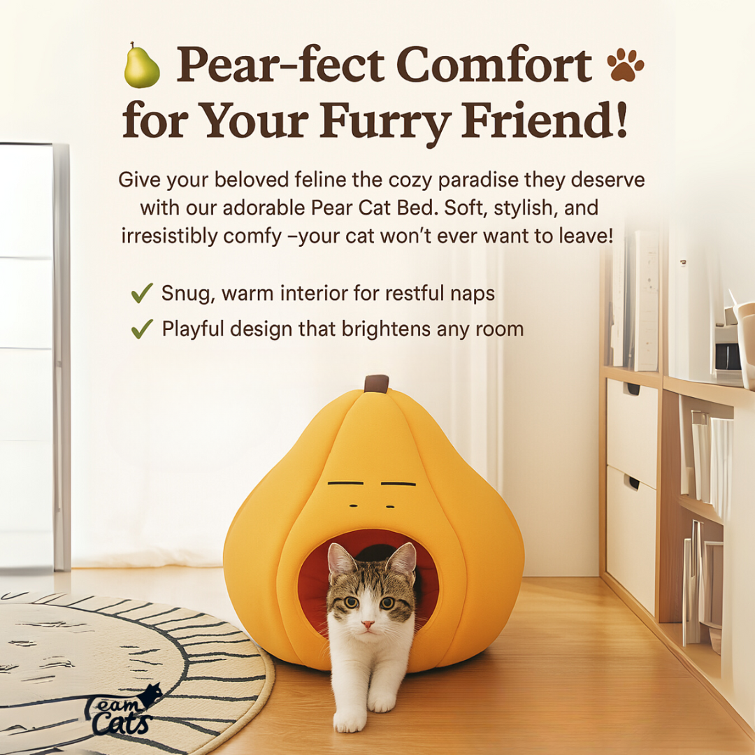 Orange, Pear, & Avocado Fruit Themed Cat Dens