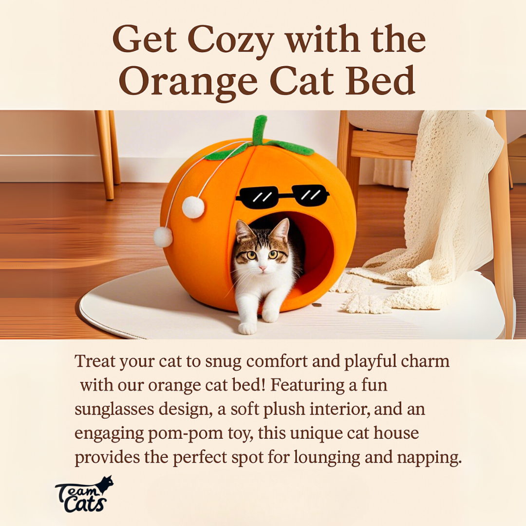 Orange, Pear, & Avocado Fruit Themed Cat Dens