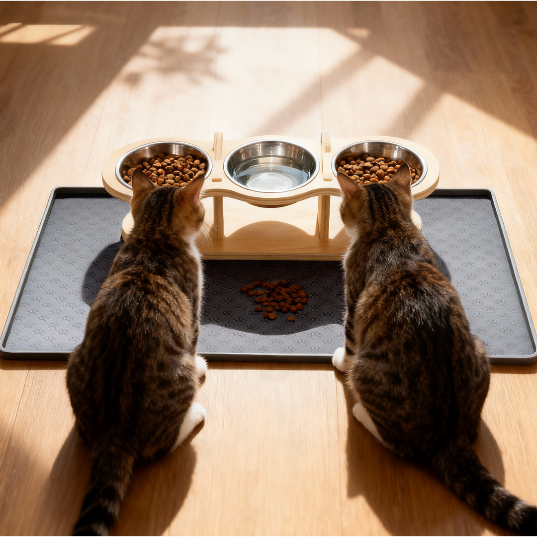 Elevated Food-Grade Stainless Steel Cat Bowls (Vet-Recommended!)