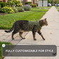 NEW Team Cats™ Adjustable Cat Harness With 2 Quick-Release Buckles, Easy-Grab Top Handle, Hook & Loop Panels, & Adjustable Straps