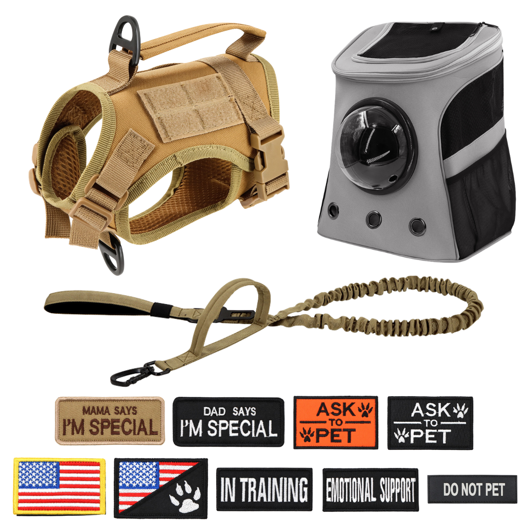 NEW Team Cats™ Adjustable Cat Harness With 2 Quick-Release Buckles, Easy-Grab Top Handle, Hook & Loop Panels, & Adjustable Straps