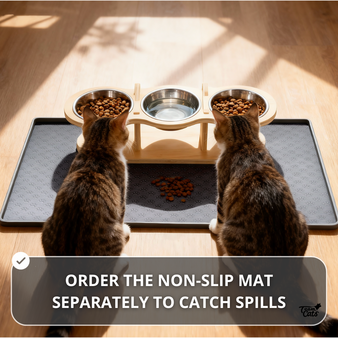 Elevated Food-Grade Feeder Stand With Stainless Steel Cat Bowls (Vet-Recommended!)