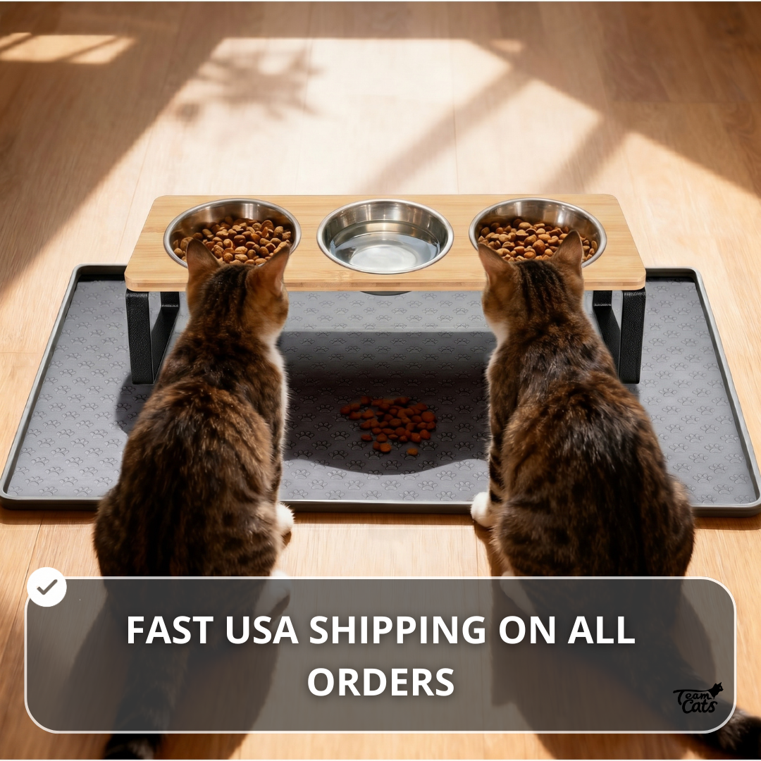 Elevated Food-Grade Feeder Stand With Three Stainless Steel Cat Bowls (Vet-Recommended!)