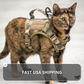 NEW Team Cats™ Adjustable Cat Harness With 2 Quick-Release Buckles, Easy-Grab Top Handle, Hook & Loop Panels, & Adjustable Straps