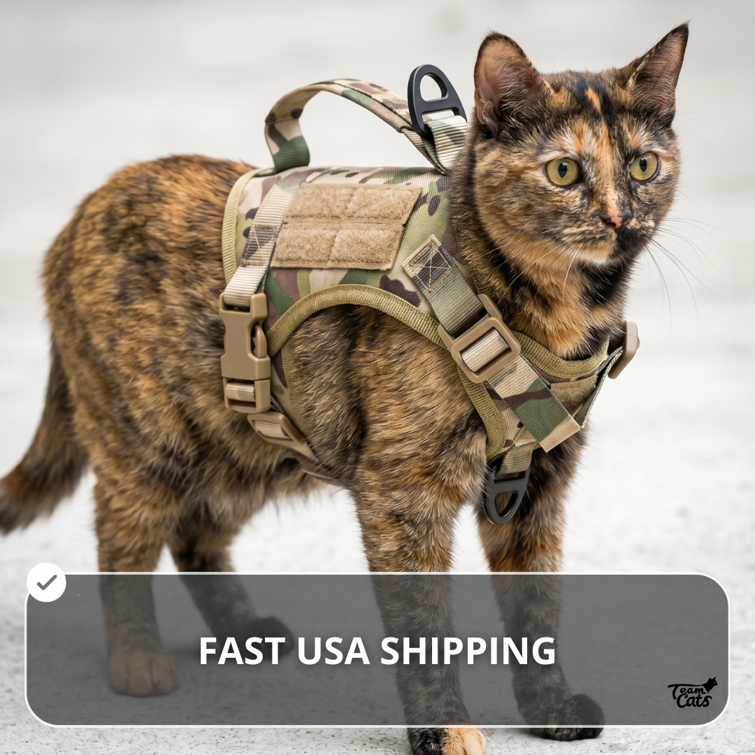 NEW Team Cats™ Adjustable Cat Harness With 2 Quick-Release Buckles, Easy-Grab Top Handle, Hook & Loop Panels, & Adjustable Straps