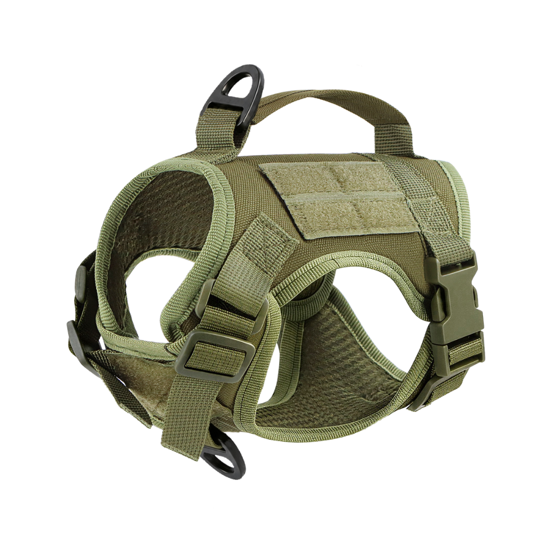 NEW Team Cats™ Adjustable Cat Harness With 2 Quick-Release Buckles, Easy-Grab Top Handle, Hook & Loop Panels, & Adjustable Straps