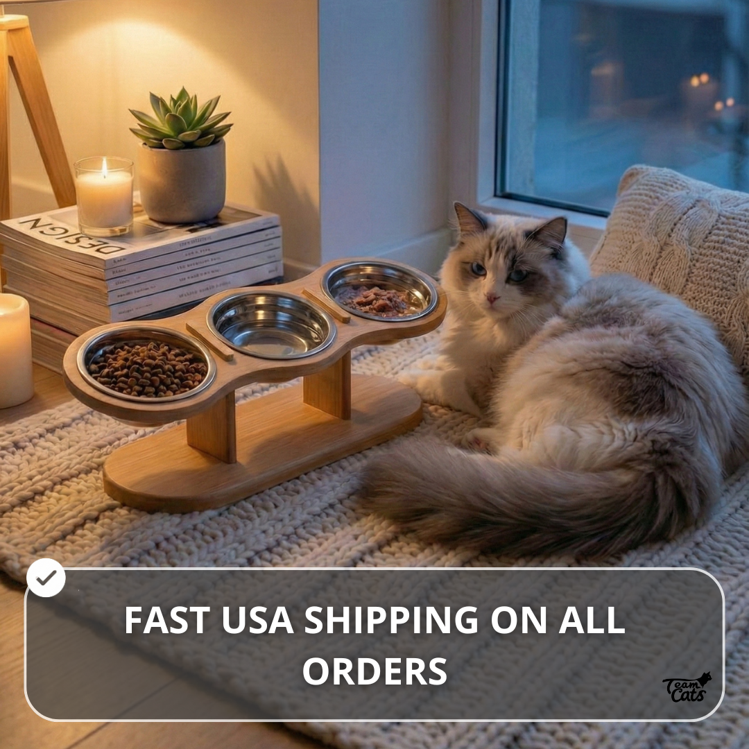 Elevated Food-Grade Feeder Stand With Stainless Steel Cat Bowls (Vet-Recommended!)