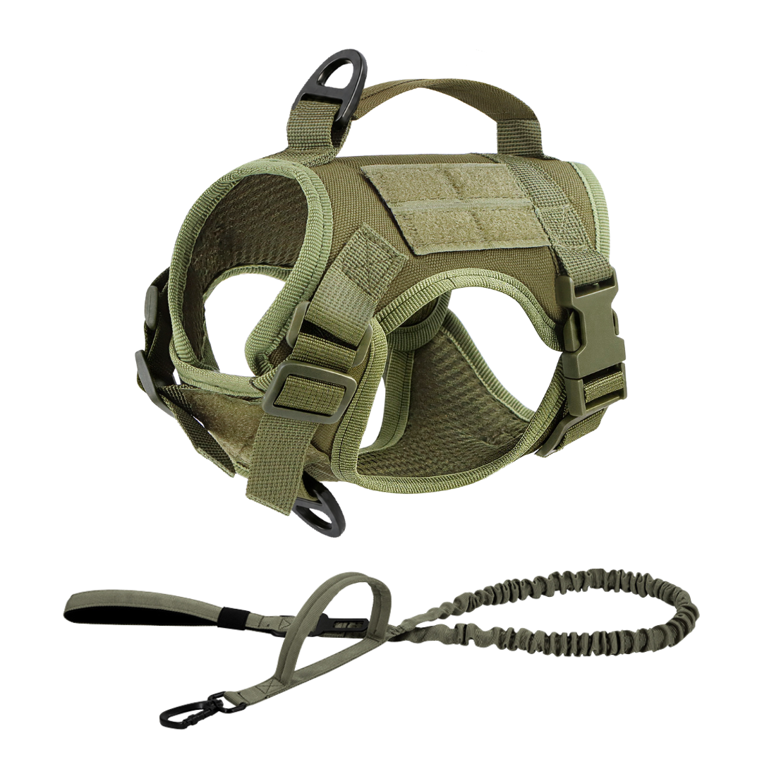 NEW Team Cats™ Adjustable Cat Harness With 2 Quick-Release Buckles, Easy-Grab Top Handle, Hook & Loop Panels, & Adjustable Straps