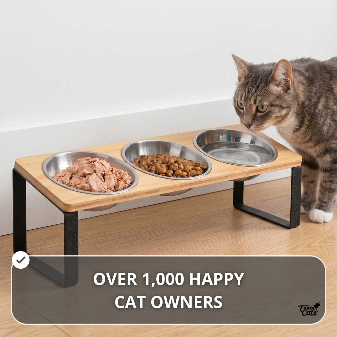 Elevated Food-Grade Feeder Stand With Three Stainless Steel Cat Bowls (Vet-Recommended!)