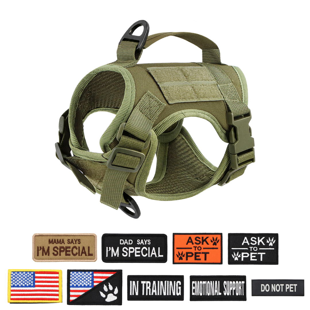 NEW Team Cats™ Adjustable Cat Harness With 2 Quick-Release Buckles, Easy-Grab Top Handle, Hook & Loop Panels, & Adjustable Straps