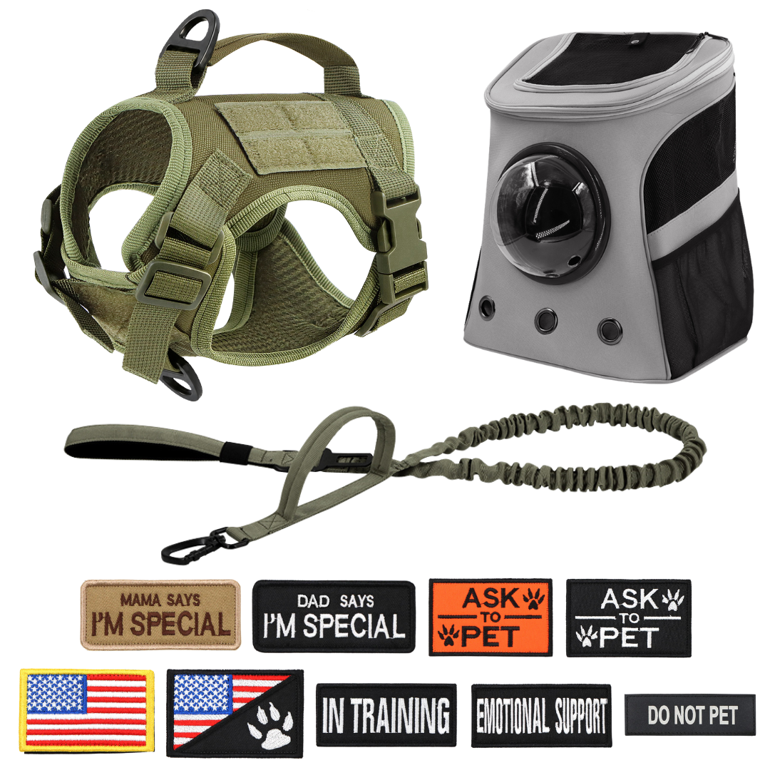 NEW Team Cats™ Adjustable Cat Harness With 2 Quick-Release Buckles, Easy-Grab Top Handle, Hook & Loop Panels, & Adjustable Straps