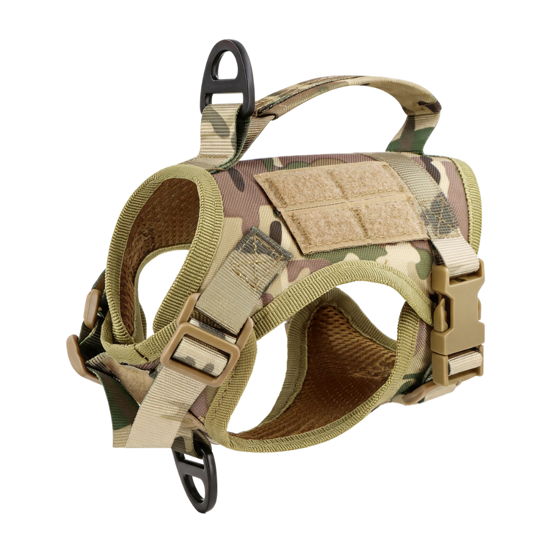 NEW Team Cats™ Adjustable Cat Harness With 2 Quick-Release Buckles, Easy-Grab Top Handle, Hook & Loop Panels, & Adjustable Straps