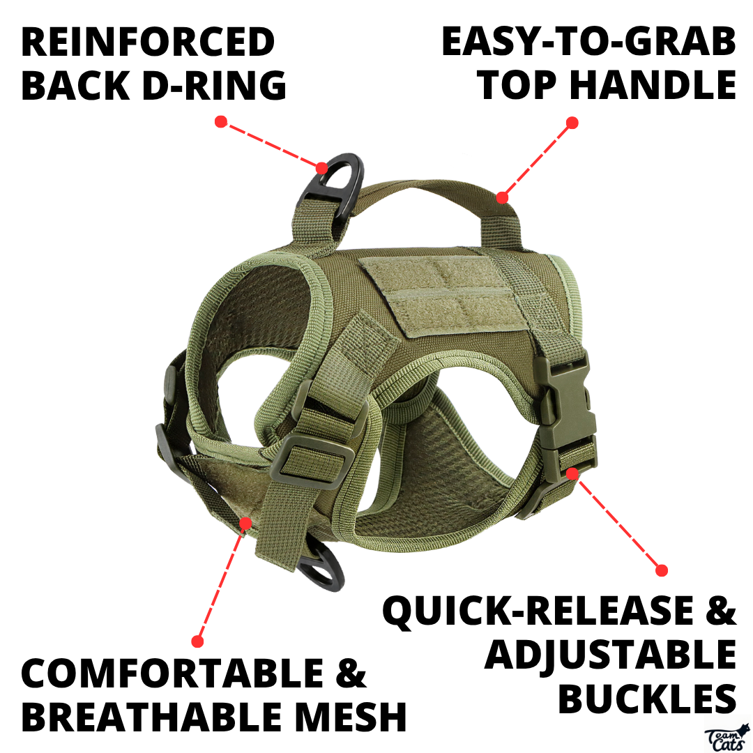 NEW Team Cats™ Adjustable Cat Harness With 2 Quick-Release Buckles, Easy-Grab Top Handle, Hook & Loop Panels, & Adjustable Straps