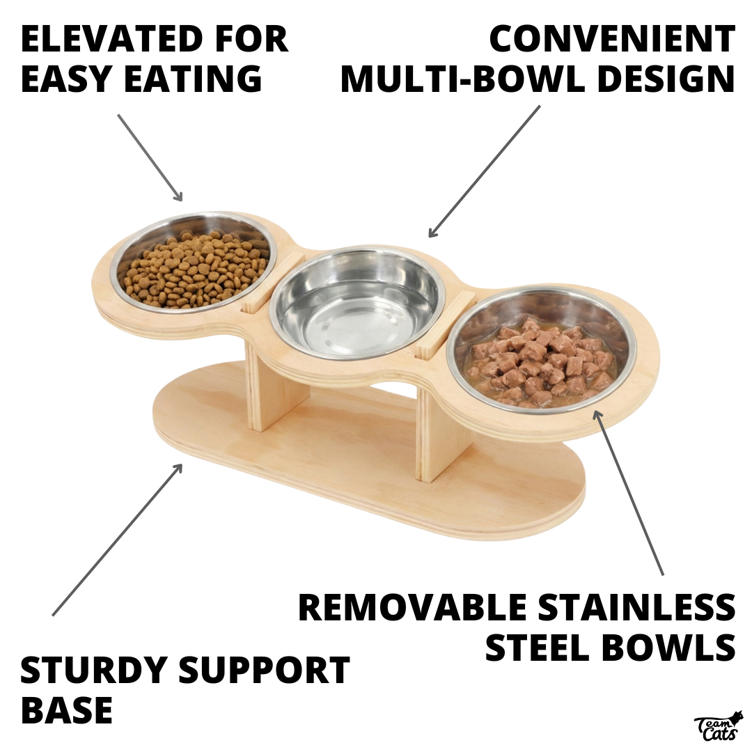 Elevated Food-Grade Feeder Stand With Stainless Steel Cat Bowls (Vet-Recommended!)