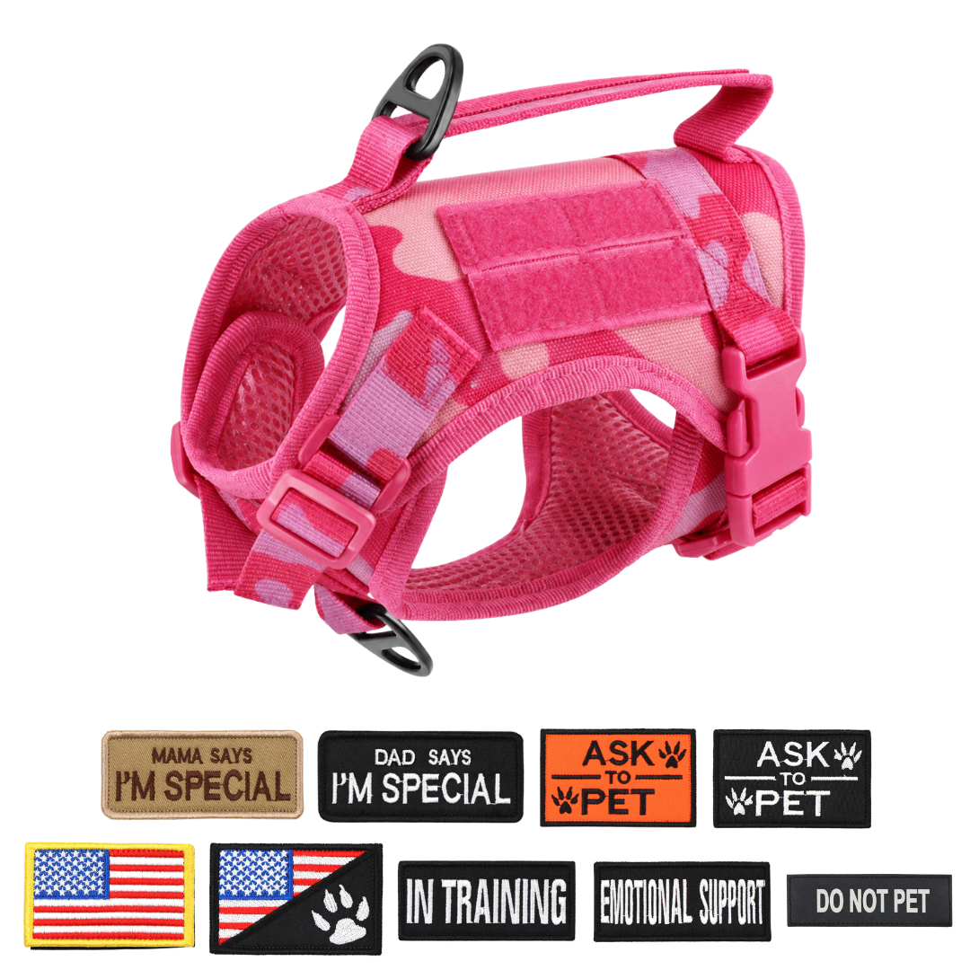 NEW Team Cats™ Adjustable Cat Harness With 2 Quick-Release Buckles, Easy-Grab Top Handle, Hook & Loop Panels, & Adjustable Straps