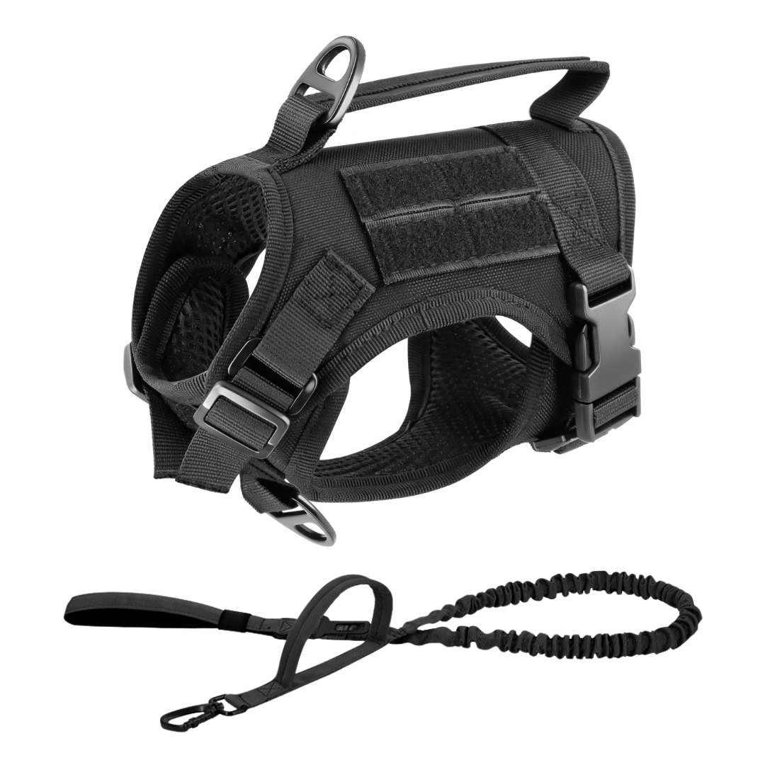 NEW Team Cats™ Adjustable Cat Harness With 2 Quick-Release Buckles, Easy-Grab Top Handle, Hook & Loop Panels, & Adjustable Straps